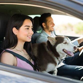 Couple riding in car with husky dog in between them looking at the road ahead.