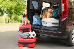 Trunk of van open full of suitcases and belongings and luggage sitting on ground with pug sitting on top of it.